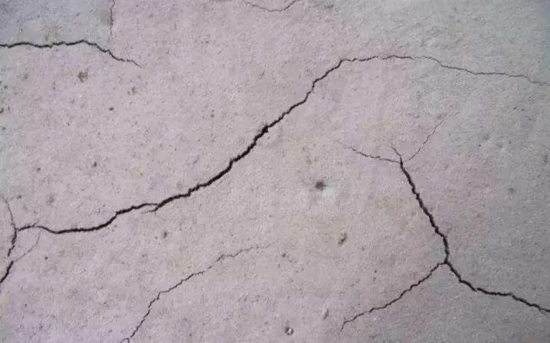 u=1451229651,3595294365&fm=253&fmt=auto&app=138&f=JPEG.webp u=1451229651,3595294365&fm=253&fmt=auto&app=138&f=JPEG.webp